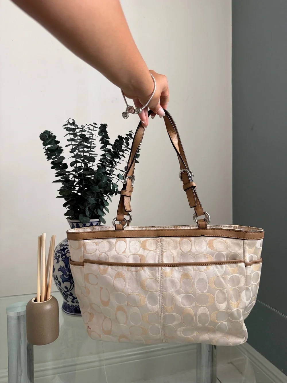 Coach Gallery East/West Jacquard Tote Bag